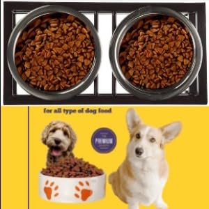 Dog Bowl for Food & Water Double Bowl Raised Stand