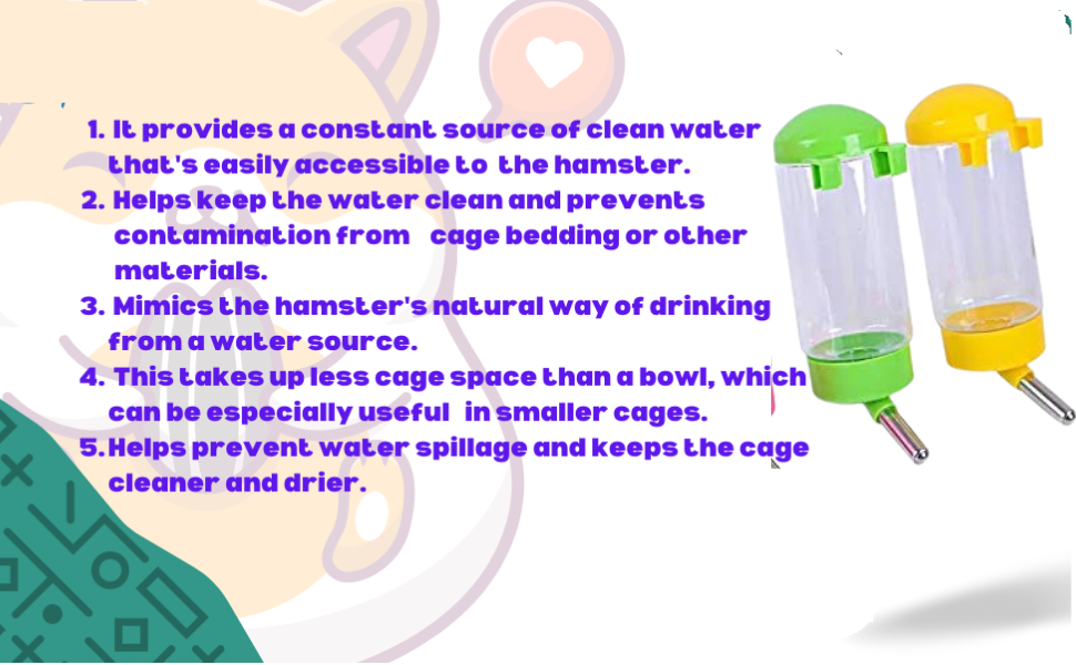 Dog Bottle 