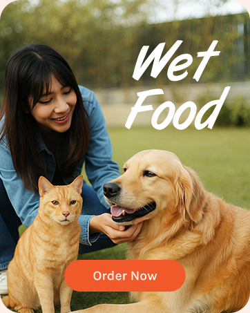 Brand Story - Wet Food