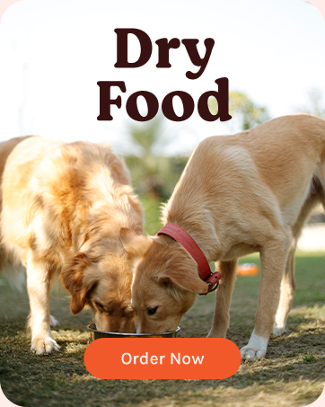 Brand Story - Dru Food