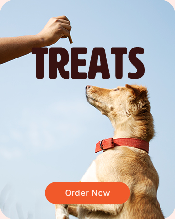 Brand Story - Treats
