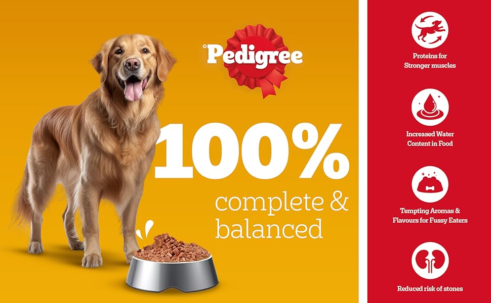 Pedigree, wet food, wet food for dogs, dog food, adult dog food, wet food for adult dogs