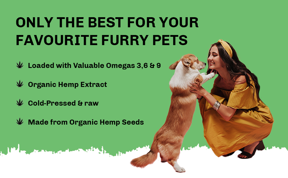 hemp seed oil for dogs, hemp seed oil, hemp oil, cold pressed hemp seed oil, dogs coat supplement
