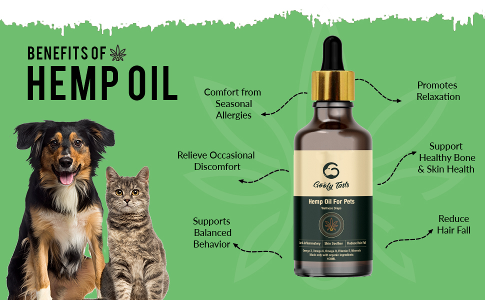 hemp seed oil for dogs, hemp seed oil, hemp oil, cold pressed hemp seed oil, dogs coat supplement