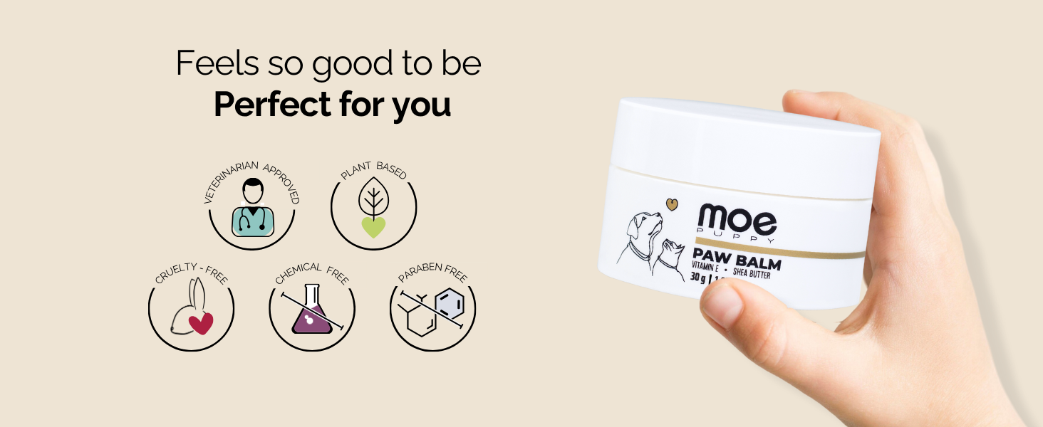 Moe paw balm is perfect for you its vet approved, cruelty free, mild scent, paw cream for dogs