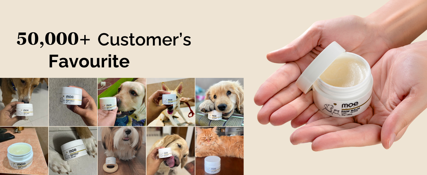 Moe puppy paw balm is Amazon bestseller, people shared their dog picture, Paw cream for dog