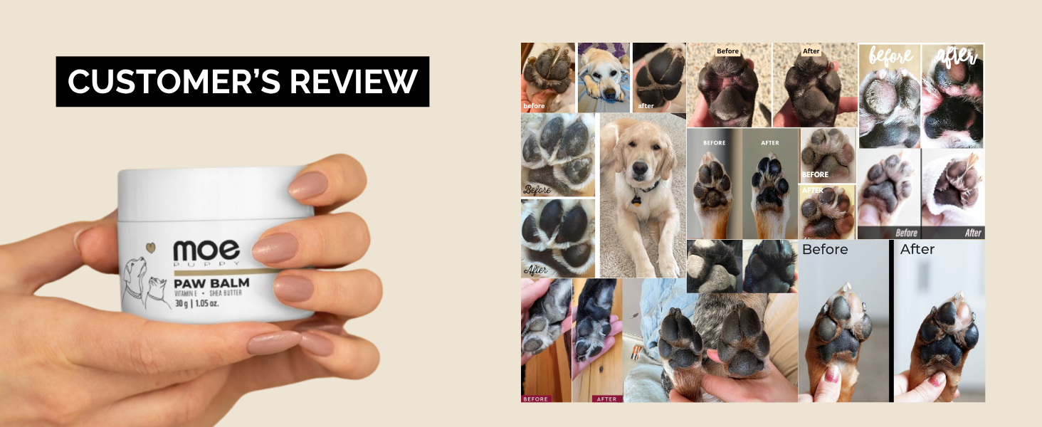 Moe puppy paw balm is customer favorite, many shared before and after images, paw balm for pets