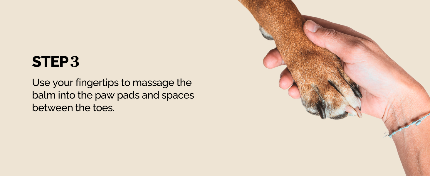 Step 3 use fingertips to massage the balm into the paw pads, paw cream for dogs