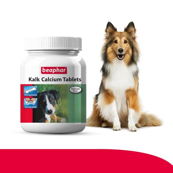 Beaphar Kalk Calcium 60 Tablets with Multivitamin Pet Supplement for Dog Strong Bones and Fast Growth