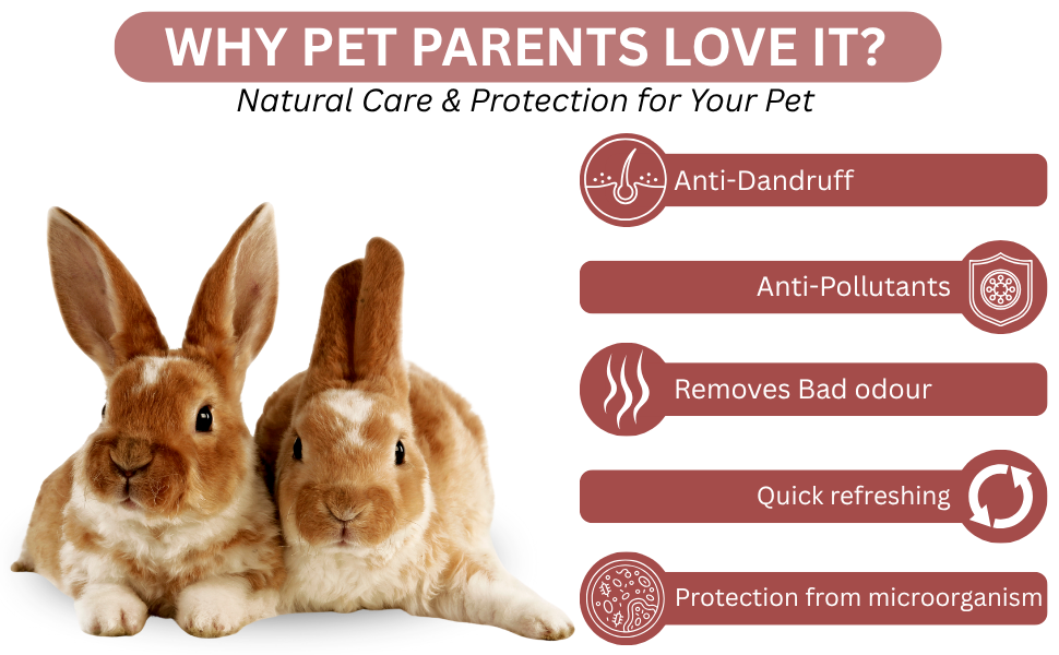 SPN-E2FA Dry Bath Shampoo For Guinea Pigs & Small Pets