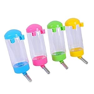 Dog Water Bottle 