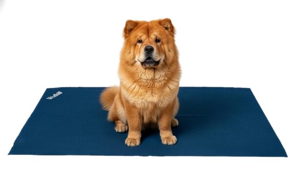 Waterproof Reusable Washable Pee Pads & Hygenic Pet Dry Sheet - Couch/Sofa/Bed/Mattress, Puppy Training & Car Seats Protector for Dogs, Cats & All Pets – Navy Blue, Medium