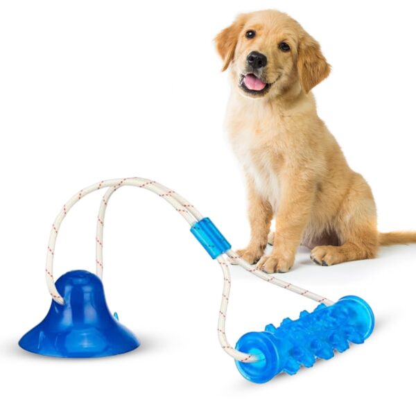 amazon basics Tug of War Interactive Dog Toy | Blue | Suction Cup | Chew Grip with Rope | Stimulating & Interactive Ball for Teeth Cleaning